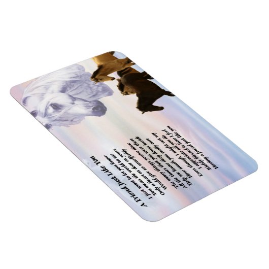 Paarden Vriend Gedicht Magneet (Rechterzijde)