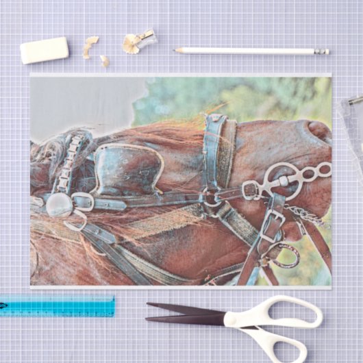 Paarden Western Rustisch land ontkoppeling Tissuepapier (Craft)