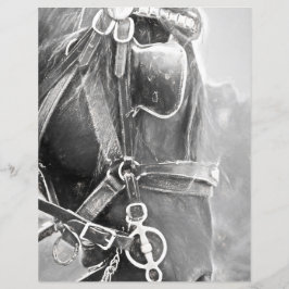 Paarden Western Rustisch zwart en witte  kunst