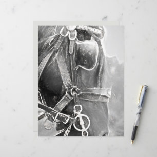 Paarden Western Rustisch zwart en witte kunst