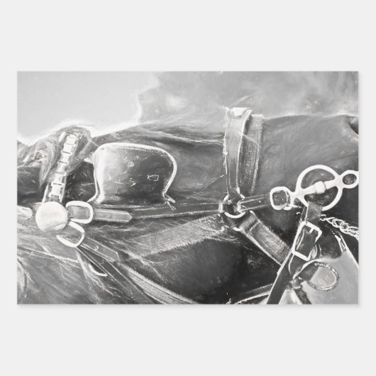 Paarden Western Rustisch zwart en witte kunst Inpakpapier Vel (Voorkant 2)