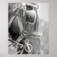 Paarden Western Rustisch zwart en witte kunst