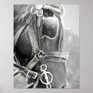 Paarden Western Rustisch zwart en witte  kunst Poster