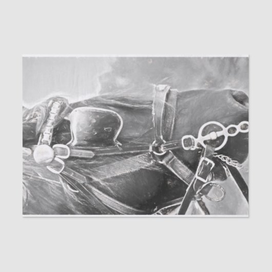 Paarden Western Rustisch zwart en witte  kunst Tissuepapier (Voorkant)