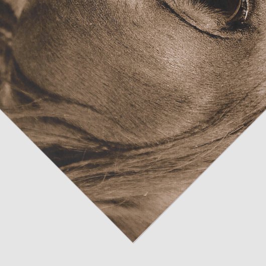 Paarden Westerne Rustische  ontkoppeling Tissuepapier (Detail)