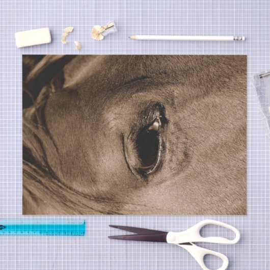 Paarden Westerne Rustische  ontkoppeling Tissuepapier (Craft)