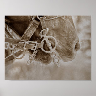 Paarden Westerne Vintage Sepia Rustic Poster
