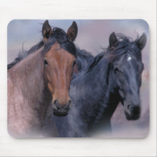 Paarden Wild en Wonderful Mousepad Muismat