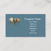 Paarden Wild en Wonderful Visitekaartje (Achterkant)