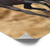 Paarden Wilde afdrukken Poster (Hoek)