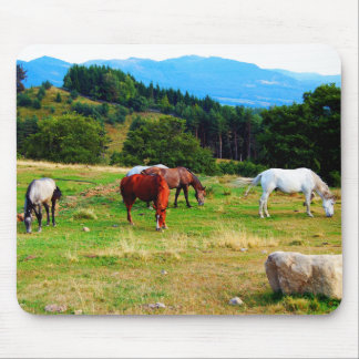 Paarden Wildlife Muismatten