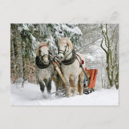 Paarden Winter Carriage Slide Postcrossing Briefkaart