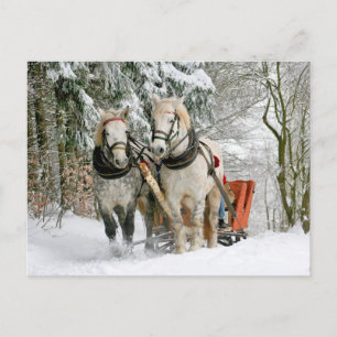 Paarden Winter Carriage Slide Postcrossing Briefkaart