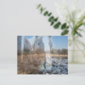 Paarden Winter Greeting Briefkaart (Staand voorkant)