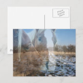 Paarden Winter Greeting Briefkaart (Voorkant / Achterkant)