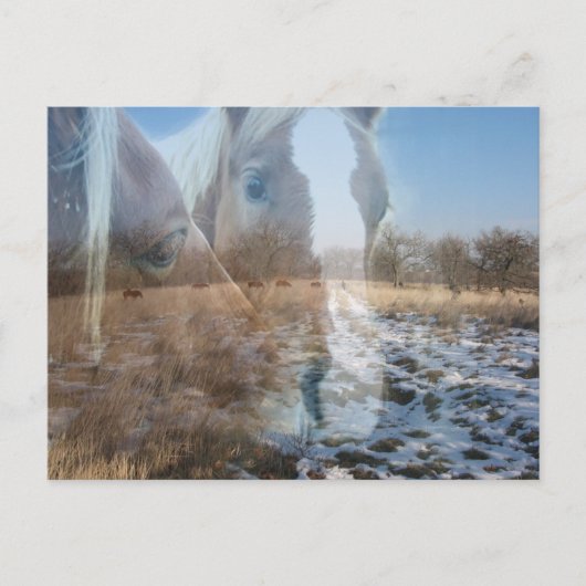 Paarden Winter Greeting Briefkaart (Voorkant)