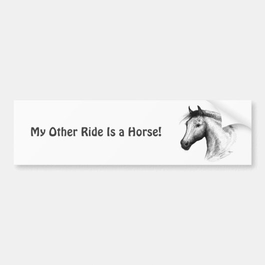 Paarden: wit bumpersticker (Voorkant)