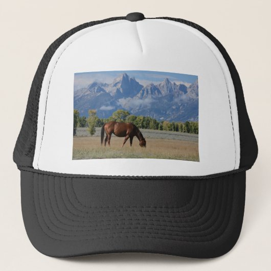 Paarden, Wyoming Ranch Trucker Pet (Voorkant)