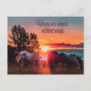 Paarden zijn engelen zonder vleugels briefkaart