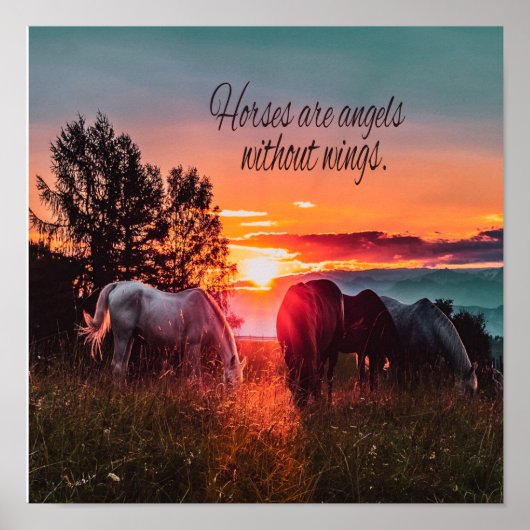 Paarden zijn engelen zonder vleugels poster (Voorkant)