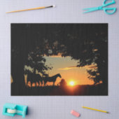 Paarden Zonnedeklaagpapier Tissuepapier (Craft)