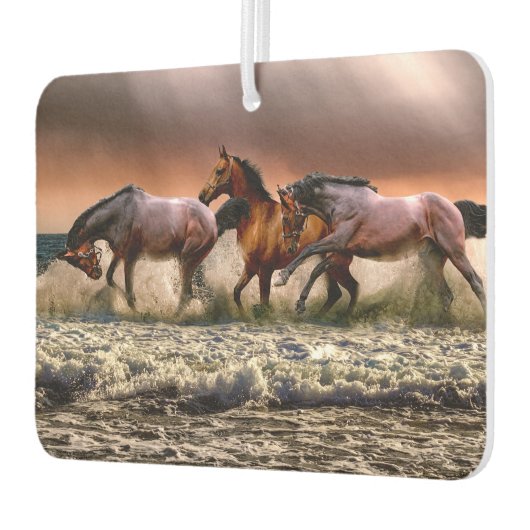 Paarden Zonnewerk en Surf Luchtverfrisser (Links)