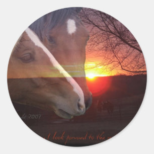 Paarden Zonsopgang Ronde Sticker