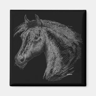 Paarden: zwart magneet