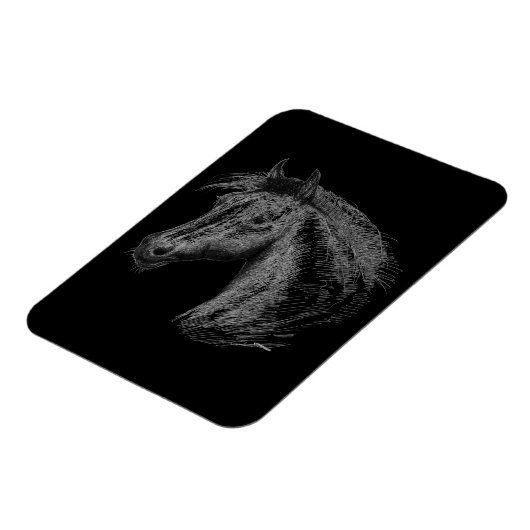 Paarden: zwart magneet (Linkerzijde)