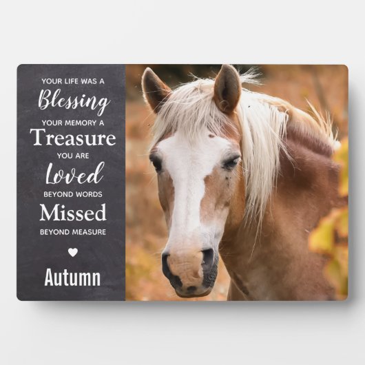 Paardenaandenken Equestrian Keepsake Horse Memoria Fotoplaat (voorkant)