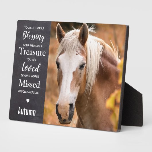 Paardenaandenken Equestrian Keepsake Horse Memoria Fotoplaat (Zijkant)