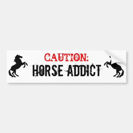 Paardenadvies Bumpersticker (Voorkant)