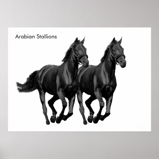 Paardenafbeelding voor Poster (Voorkant)