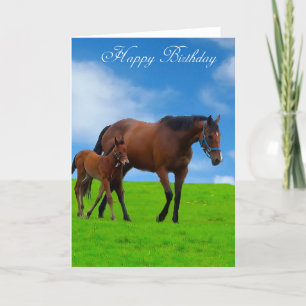 PaardenAfbeeldingen voor wenskaart Kaart