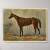  Paardenafdrukken 1873 Blauwe Kaap Poster (Voorkant)