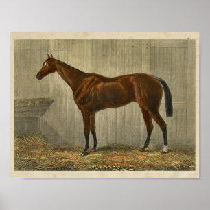 Paardenafdrukken 1873 Blauwe Kaap Poster