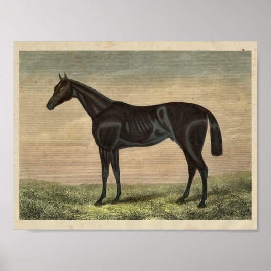  paardenafdrukken 1873 voortender poster (Voorkant)