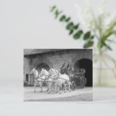 Paardenafrakkingsmotor, 1922 briefkaart (Staand voorkant)