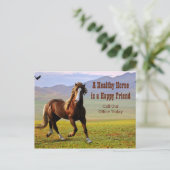 Paardenafspraak herinnering voor Dierenarts Postca Briefkaart (Staand voorkant)