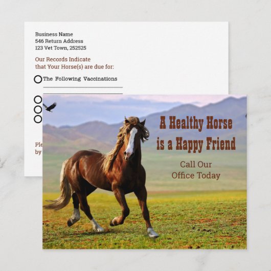 Paardenafspraak herinnering voor Dierenarts Postca Briefkaart (Voorkant / Achterkant)