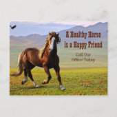 Paardenafspraak herinnering voor Dierenarts Postca Briefkaart (Voorkant)