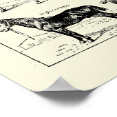 paardenanatomie poster (Hoek)