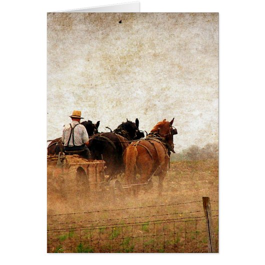 Paardenarbeid (Voorkant)