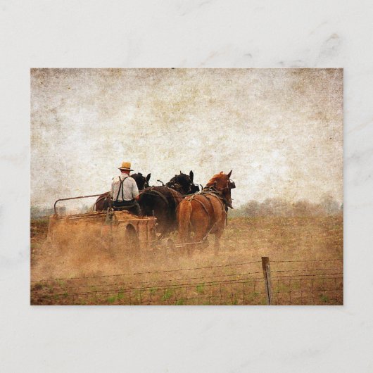 Paardenarbeid Briefkaart (Voorkant)