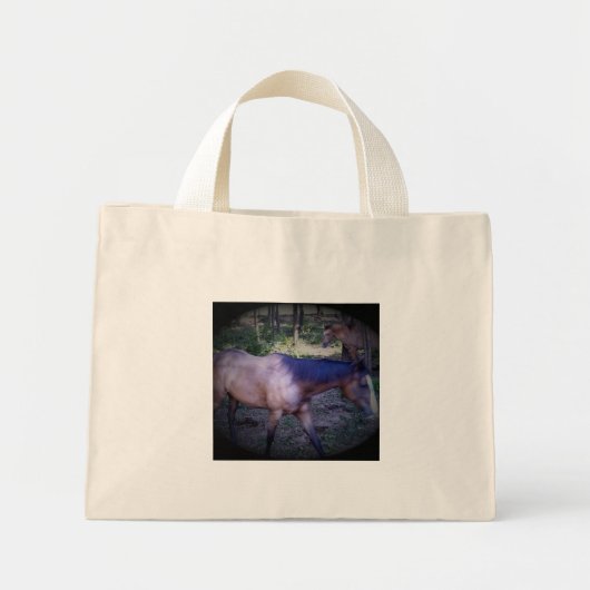 Paardenband 2 mini tote bag (Voorkant)