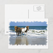 Paardenband Briefkaart (Voorkant / Achterkant)