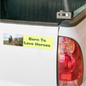 Paardenband Bumpersticker (Op Truck)
