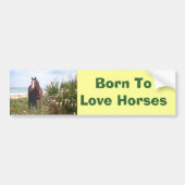 Paardenband Bumpersticker (Voorkant)