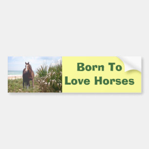 Paardenband Bumpersticker