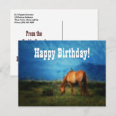 Paardenbedrijf of Vet-Kantoor van groep Birthday Briefkaart (Voorkant / Achterkant)